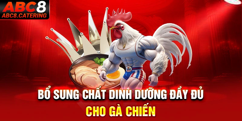 Bổ sung chất dinh dưỡng đầy đủ cho gà chiến