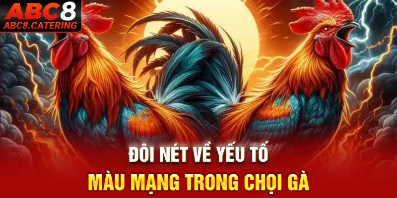 Đôi nét về yếu tố màu mạng trong chọi gà