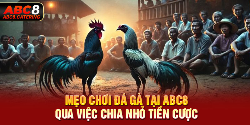 Mẹo chơi đá gà tại ABC8 qua việc chia nhỏ tiền cược