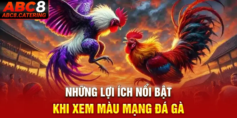 Những lợi ích nổi bật khi xem màu mạng đá gà