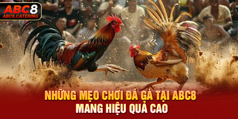 Những mẹo chơi đá gà tại ABC8 mang hiệu quả cao